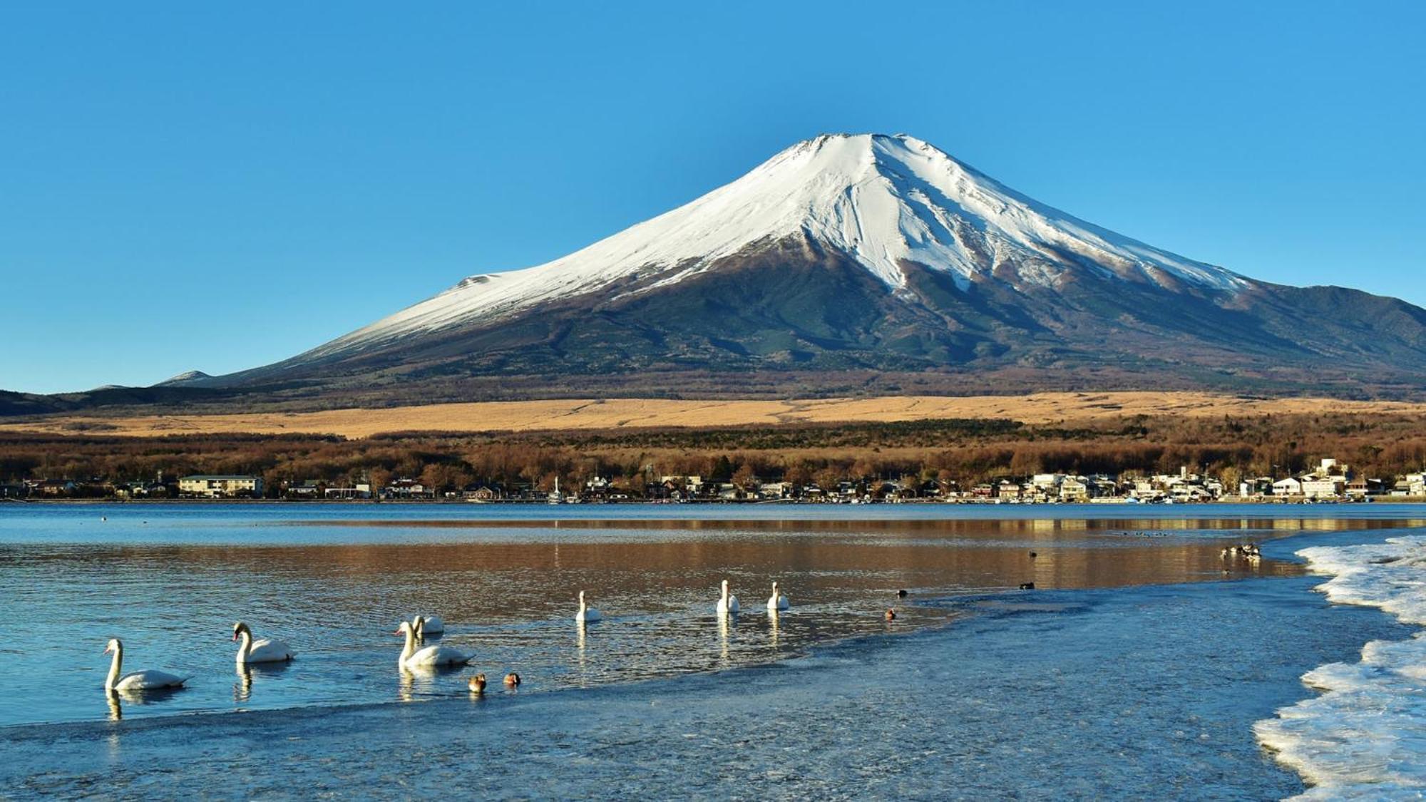 Toyoko Inn Shin-Fuji-Eki Minami-Guchi Fuji  Dış mekan fotoğraf