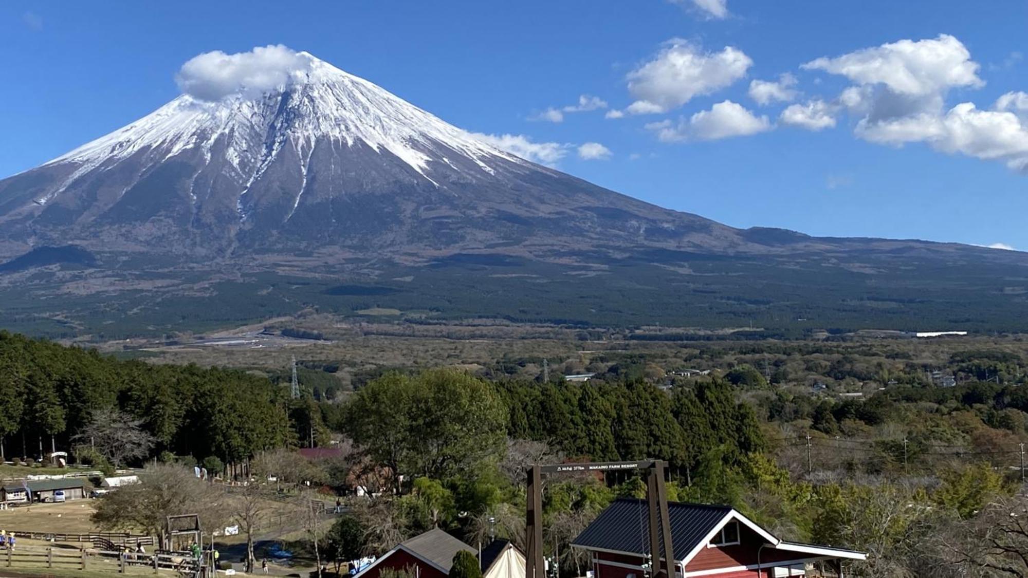 Toyoko Inn Shin-Fuji-Eki Minami-Guchi Fuji  Dış mekan fotoğraf